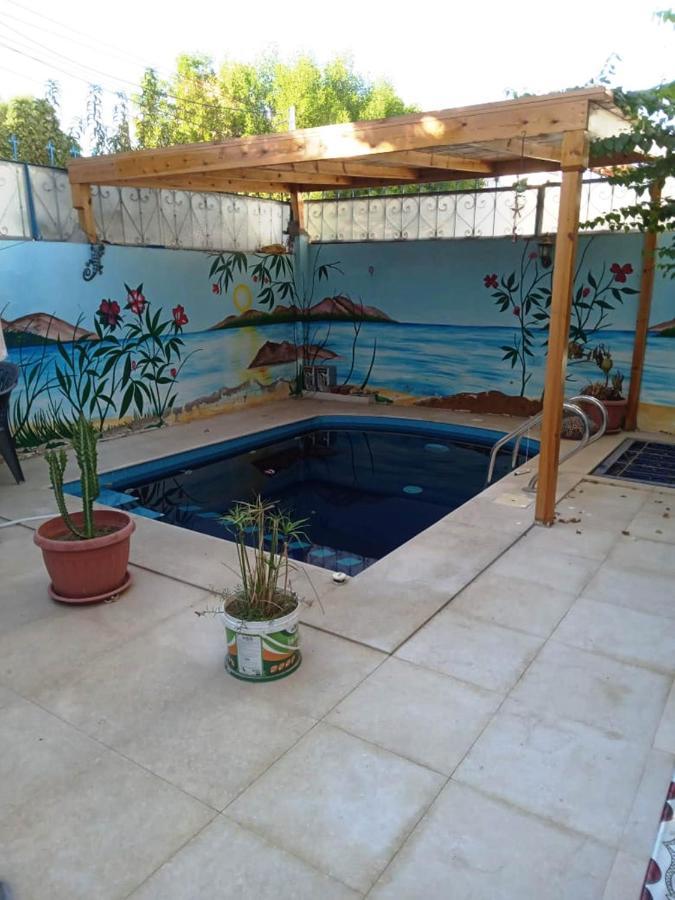 Villa Louise Guest House Luxor Exteriör bild