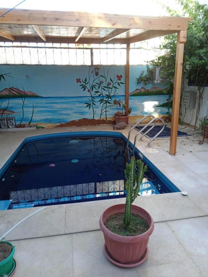 Villa Louise Guest House Luxor Exteriör bild