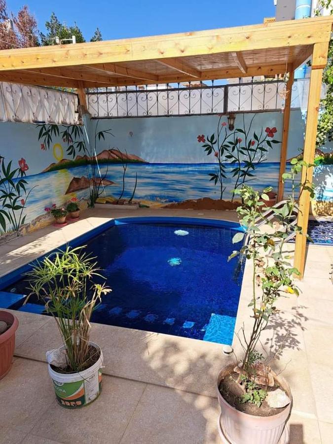 Villa Louise Guest House Luxor Exteriör bild